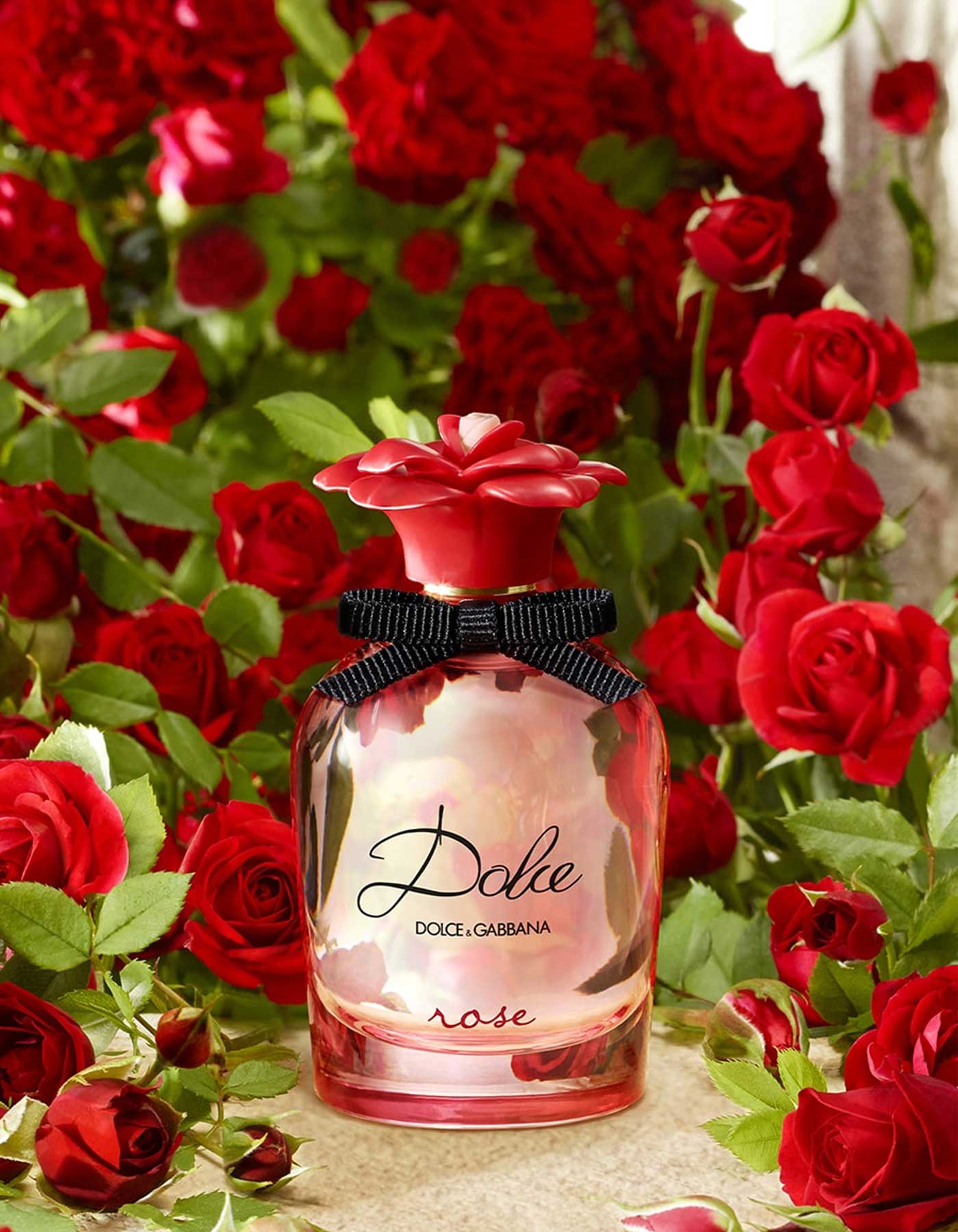 Dolce Rose Edt A La Mode Watches Perfumes Fashion Jewelry